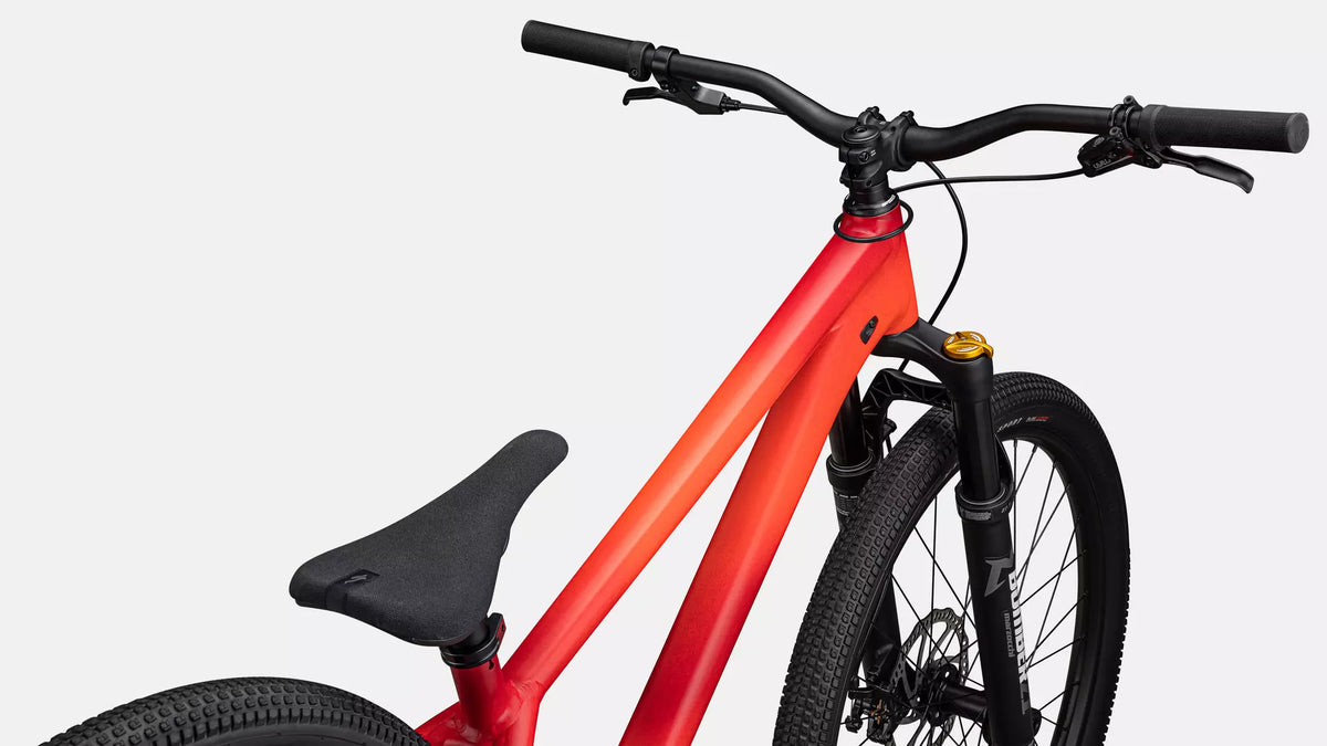 Specialized P.4 – 27,5" / 12 kg
