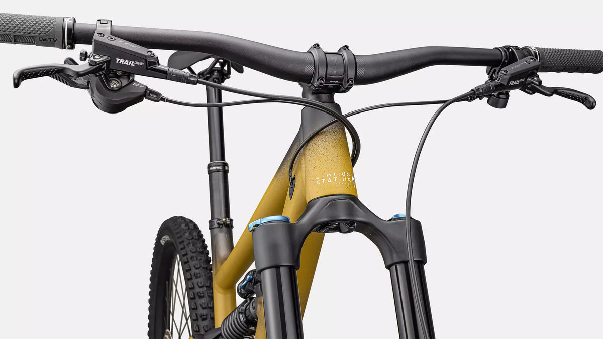 Specialized Enduro – 170 mm / 17,28 kg