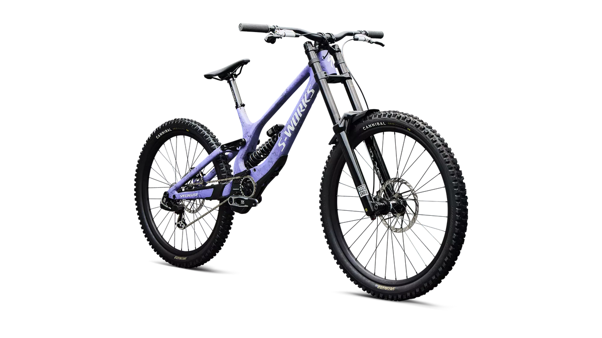 Specialized DH – 200 mm / 19,03 kg