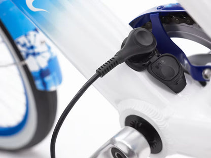 Vélo électrique urbain Bosch – Batterie 500 Wh – Active Line Plus 50 Nm – Nexus 5 vitesses