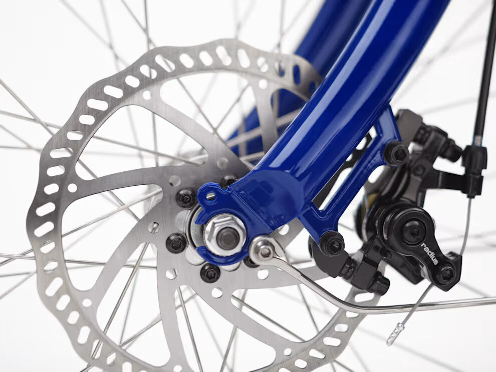 Vélo électrique urbain Bosch – Batterie 500 Wh – Active Line Plus 50 Nm – Nexus 5 vitesses
