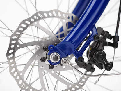Vélo électrique urbain Bosch – Batterie 500 Wh – Active Line Plus 50 Nm – Nexus 5 vitesses