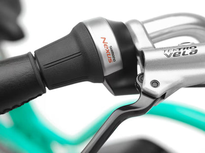 Vélo électrique urbain Bosch – Batterie 500 Wh – Active Line Plus 50 Nm – Nexus 5 vitesses
